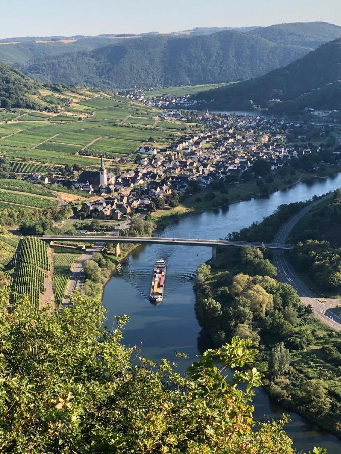 Apartment Mosel-Goetterlay Bruttig-Fankel Bagian luar foto
