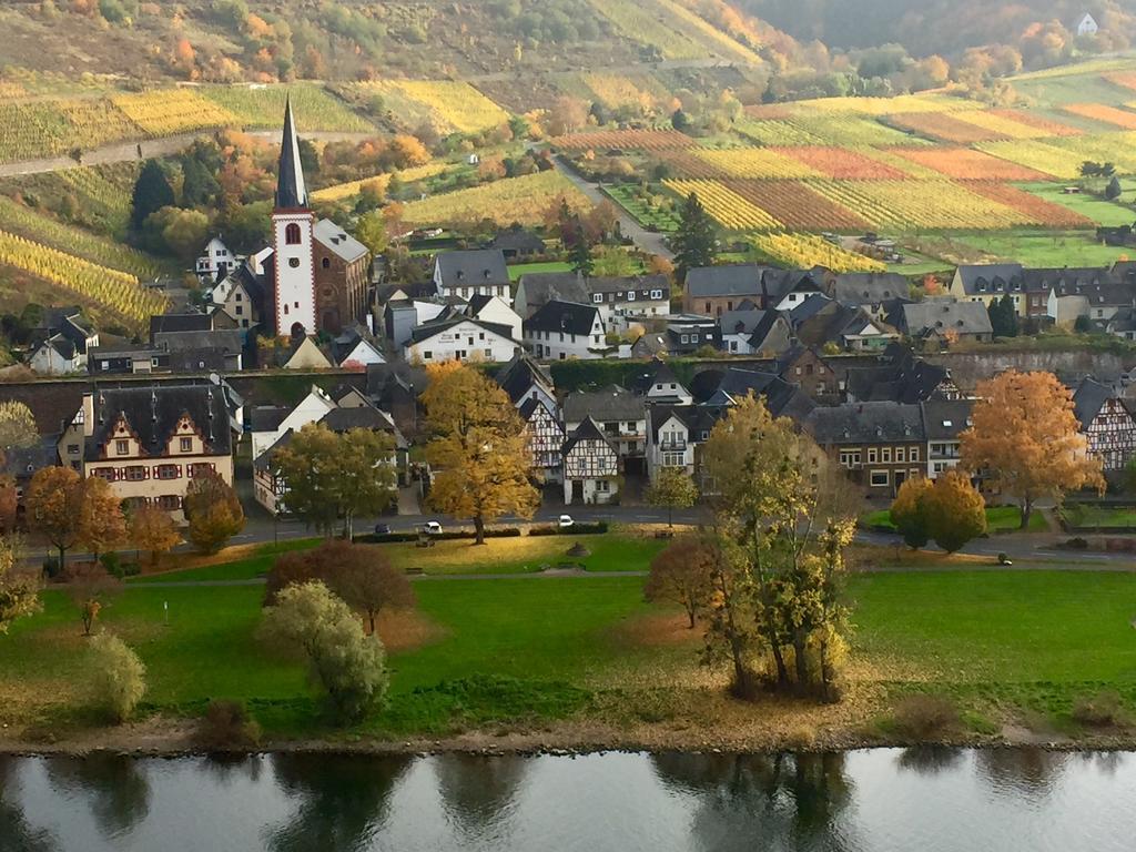 Apartment Mosel-Goetterlay Bruttig-Fankel Bagian luar foto