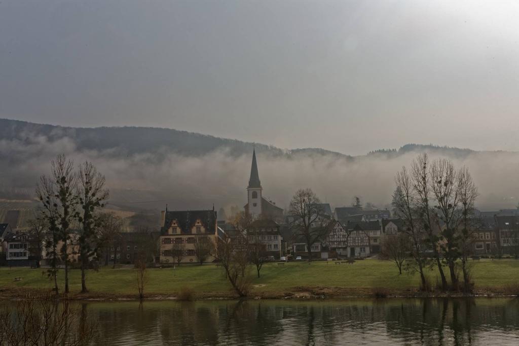 Apartment Mosel-Goetterlay Bruttig-Fankel Bagian luar foto